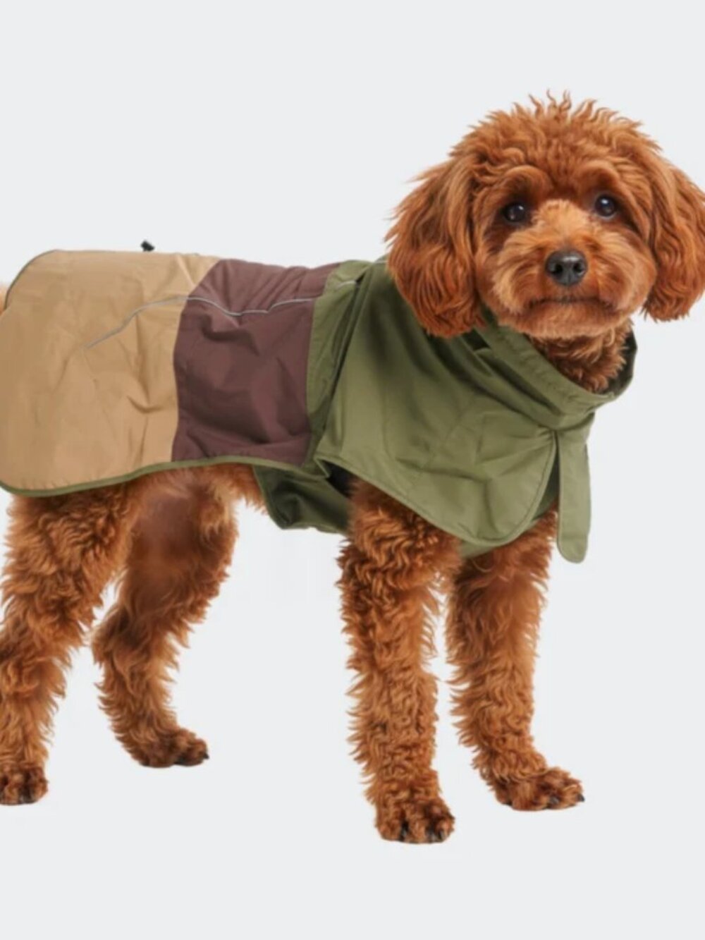 Breatheshield™ Dog Raincoat by Spark Paws - Green/Brown/Tan (2XL)